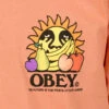 Obey The Future Is The Fruits Of Ours Citrus -Quality Fashion Clothing Store image 1764
