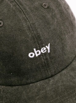 Obey Pigment Lowercase 6 Panel Pigment Black